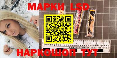 дмт Жуковский