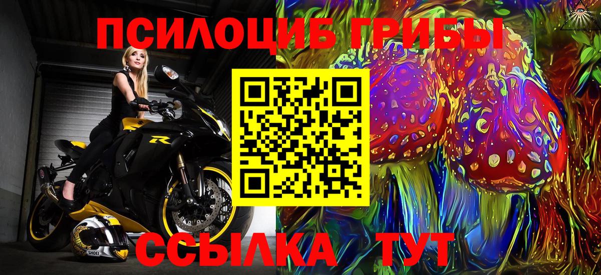 Псилоцибиновые грибы GOLDEN TEACHER  Псилоцибиновые грибы Psilocybine cubensis  Вход с VPN  Людиново 